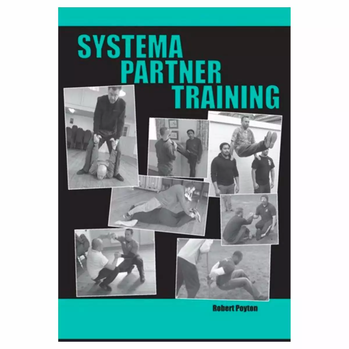 Systema Partner Training Paperback