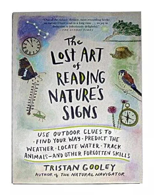 The Lost Art Of Reading Nature's Signs - Image 2