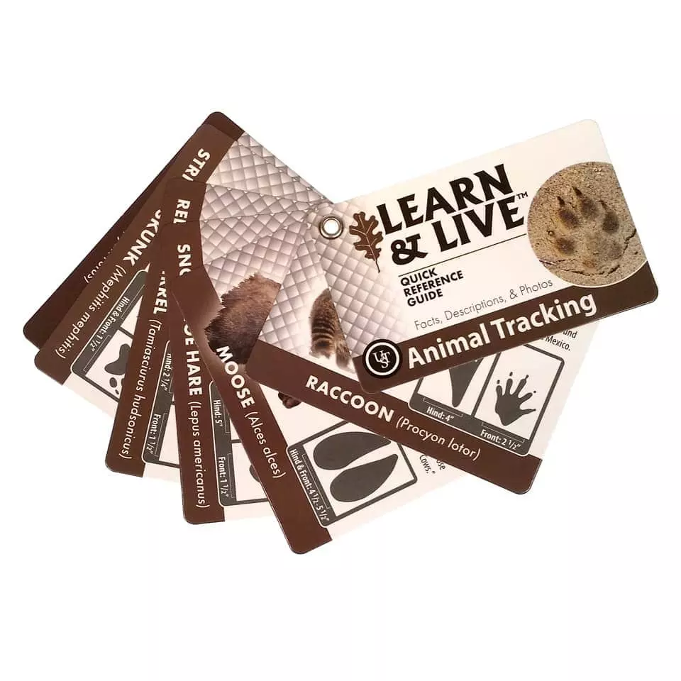 UST Learn And Live Animal Tracking Cards - Image 2