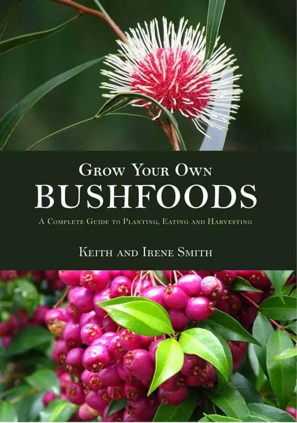Grow Your Own Bushfoods Book