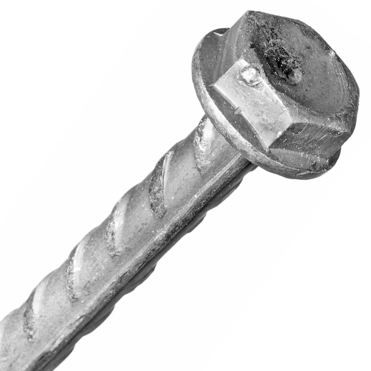 Duke Trap Stakes 18" - Image 2