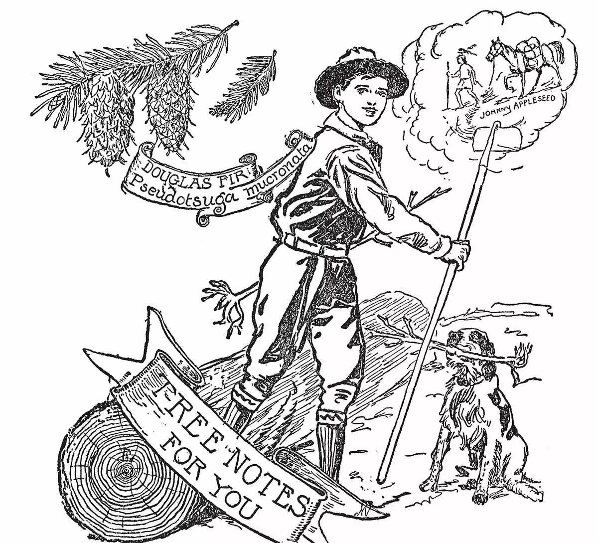 Do It Yourself Bushcraft: A Book Of The Big Outdoors - Image 5